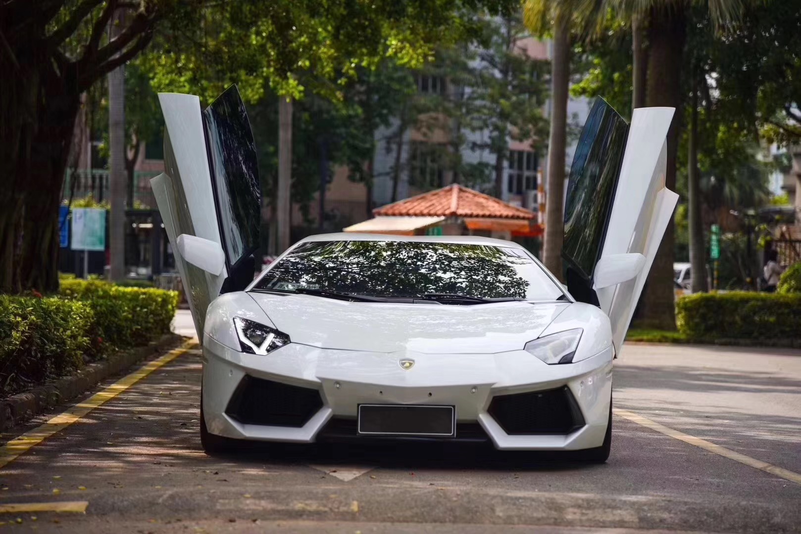 aventador LP700-4 Roadster